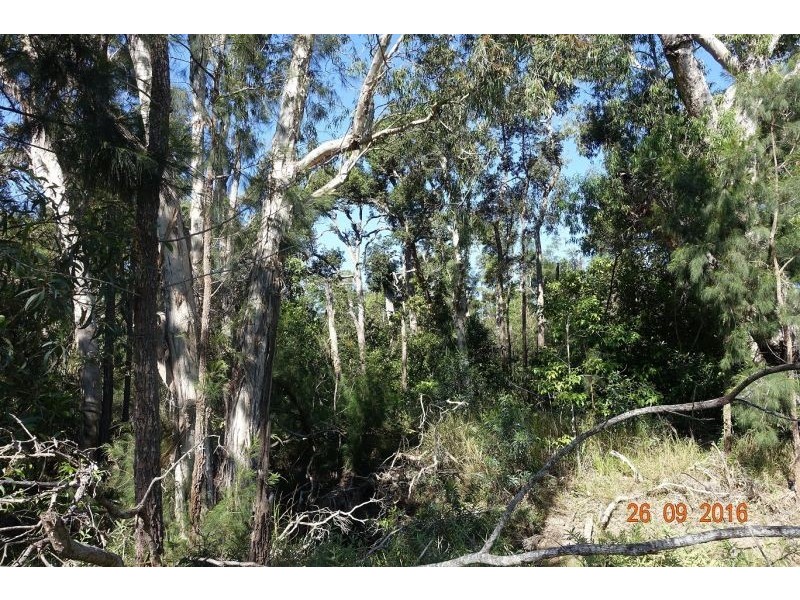 lot 6 Waterpark Road, Byfield QLD 4703