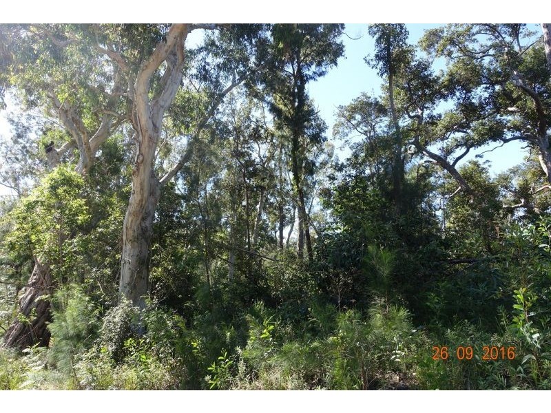lot 6 Waterpark Road, Byfield QLD 4703