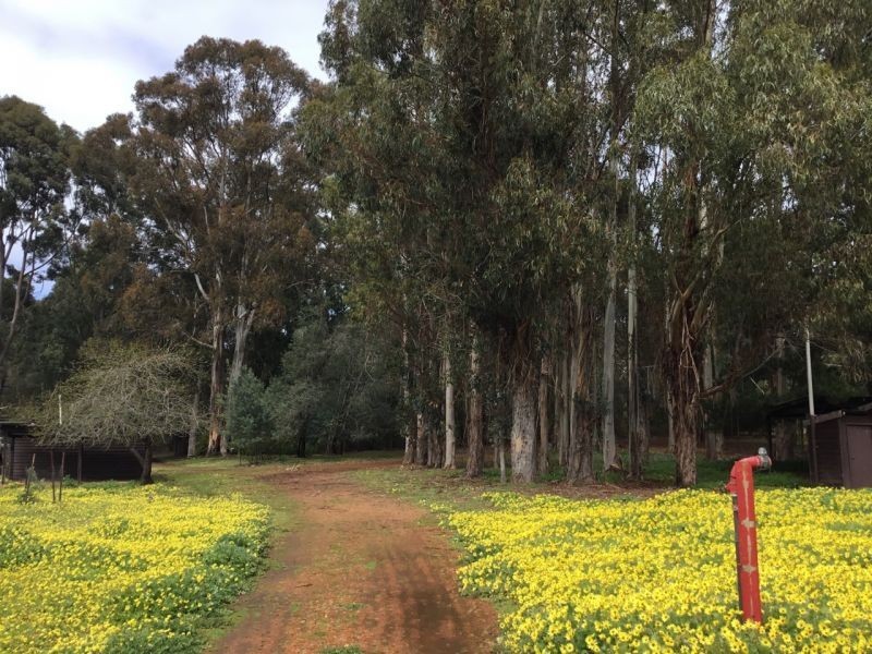 12 Nyamup Rd, Dingup WA 6258