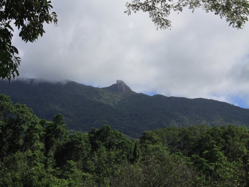 Lot 189 Whyanbeel Rd, Whyanbeel QLD 4873