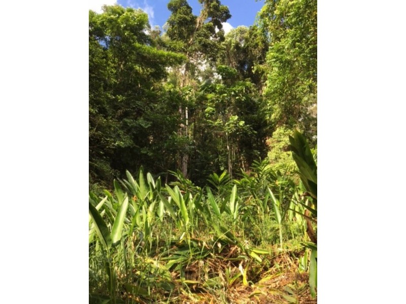 Lot 189 Whyanbeel Rd, Whyanbeel QLD 4873