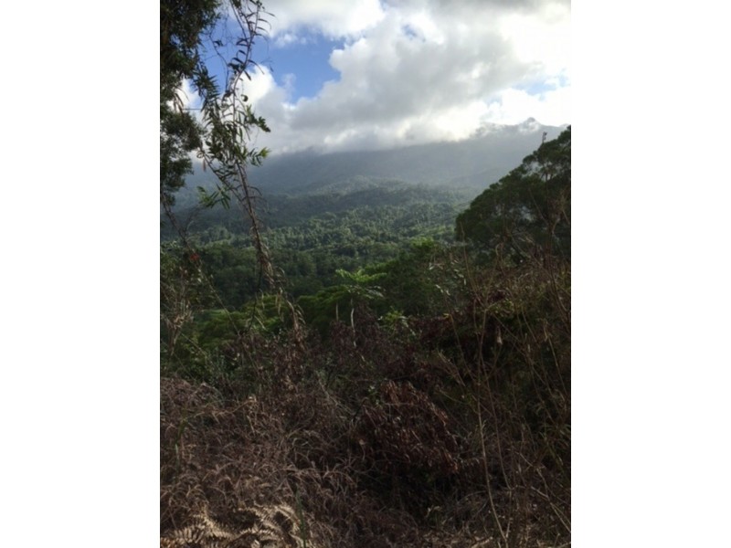 Lot 189 Whyanbeel Rd, Whyanbeel QLD 4873