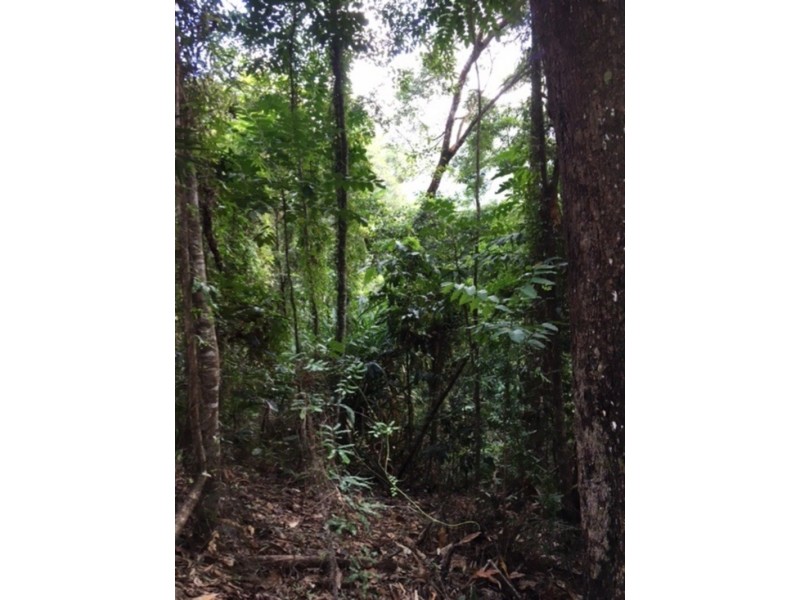 Lot 189 Whyanbeel Rd, Whyanbeel QLD 4873