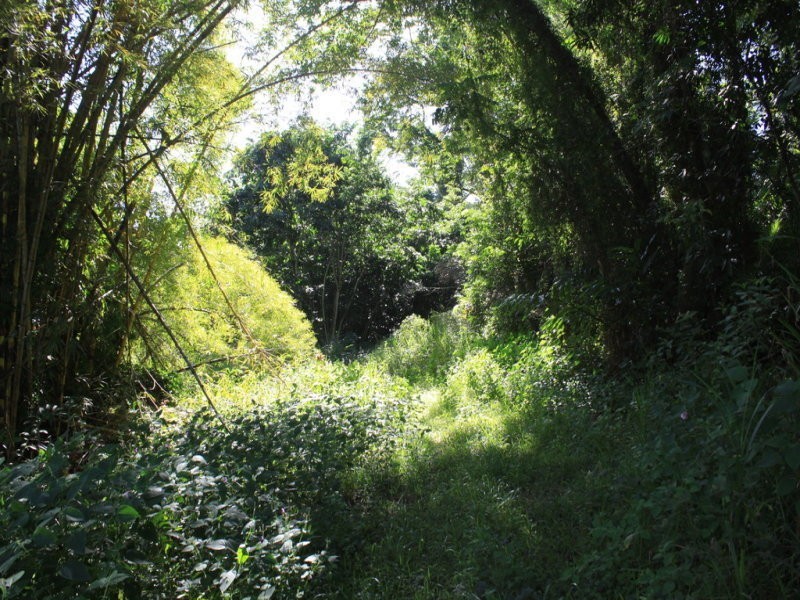 Lot 189 Whyanbeel Rd, Whyanbeel QLD 4873