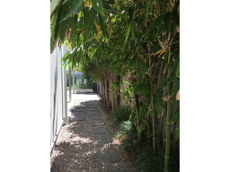 4 Gimbal Court, Wurtulla QLD 4575