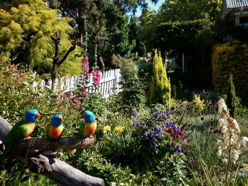 9 Mackay Avenue, Walcha Road NSW 2354