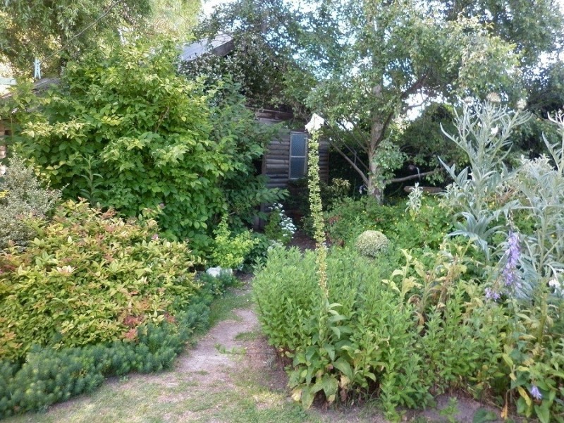 9 Mackay Avenue, Walcha Road NSW 2354