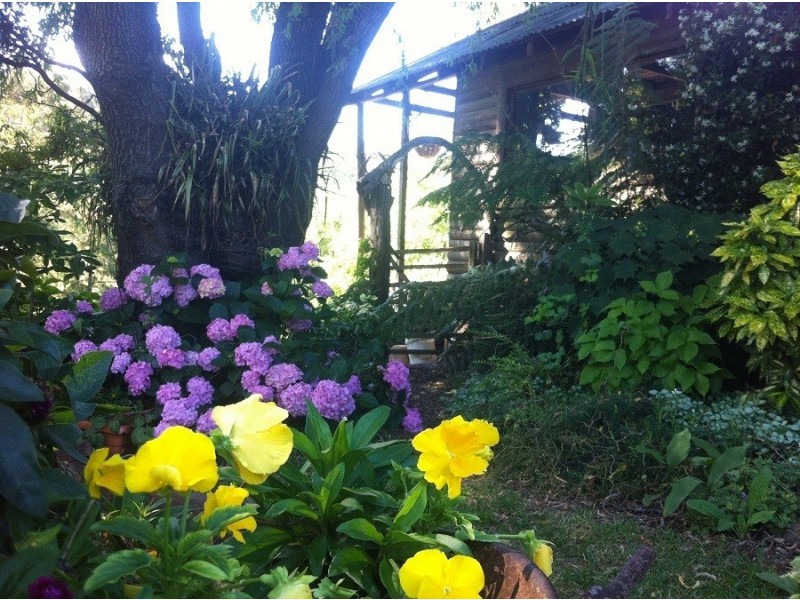 9 Mackay Avenue, Walcha Road NSW 2354