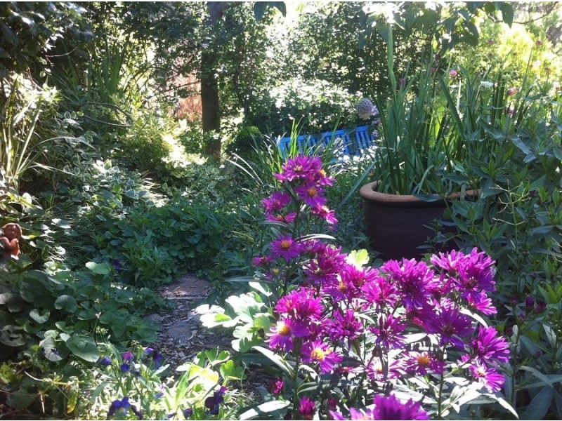 9 Mackay Avenue, Walcha Road NSW 2354