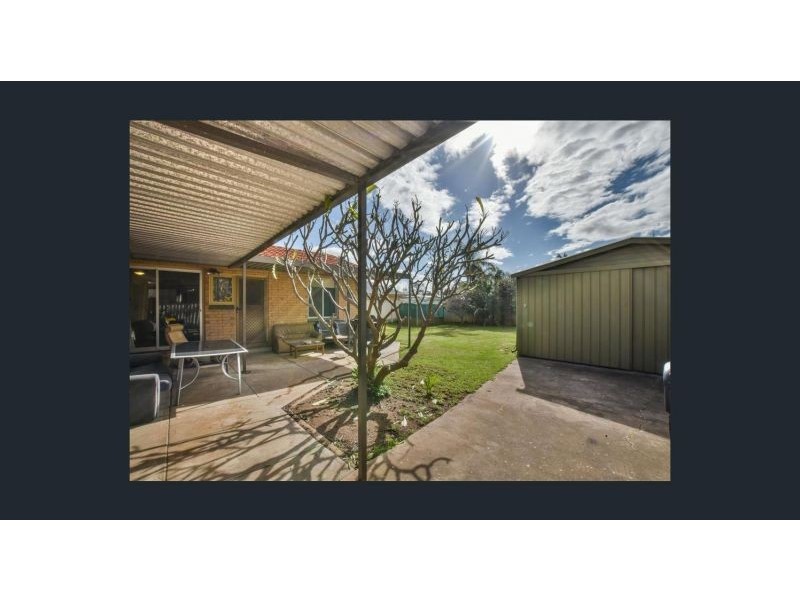 29 Oliphant Avenue, Marion SA 5043