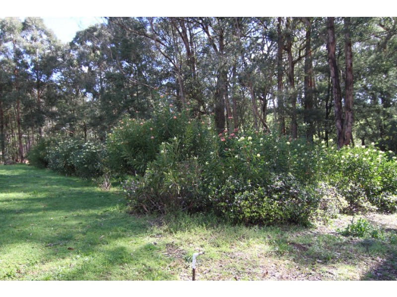 115 Collie Rd, Gembrook VIC 3783