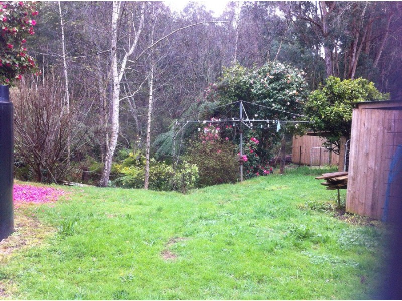 115 Collie Rd, Gembrook VIC 3783