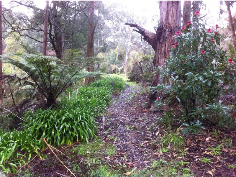 115 Collie Rd, Gembrook VIC 3783