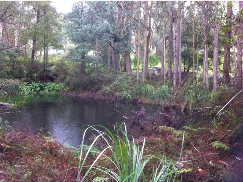 115 Collie Rd, Gembrook VIC 3783