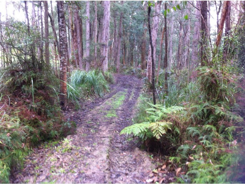 115 Collie Rd, Gembrook VIC 3783