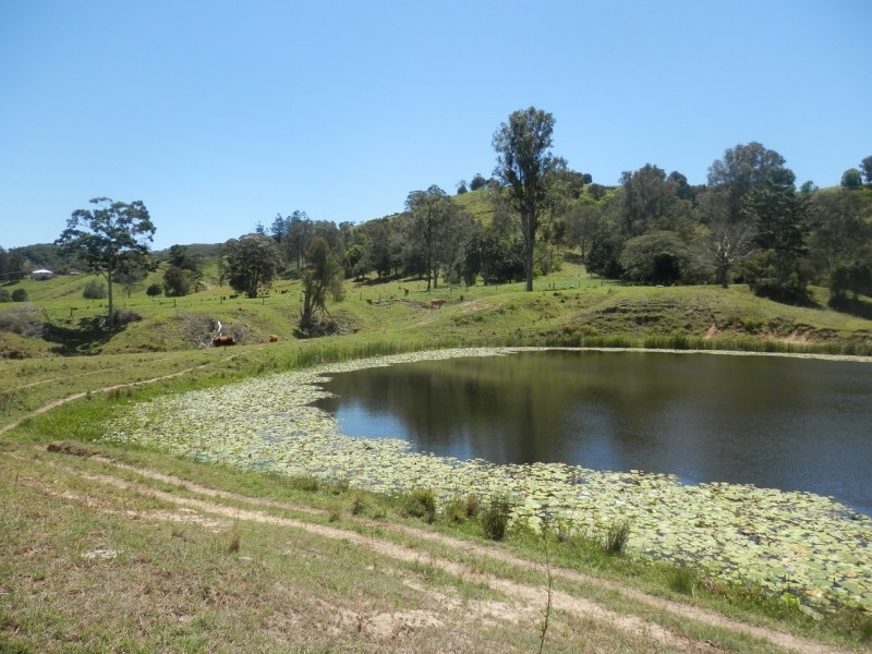 92 Gap Road, Cedar Pocket QLD 4570