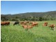 92 Gap Road, Cedar Pocket QLD 4570