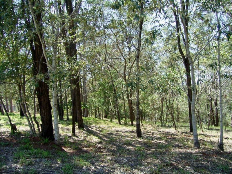 41 Parkridge Drive, Withcott QLD 4352