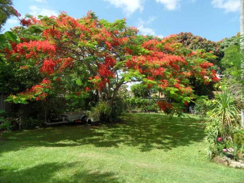 167 Tooley St, Maryborough QLD 4650