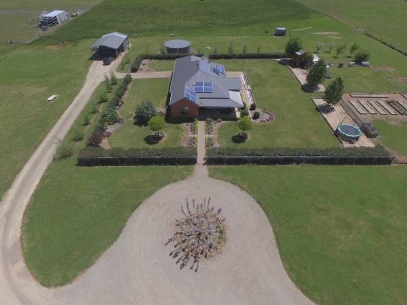 708  Spring Terrace Rd, Forest Reefs NSW 2798