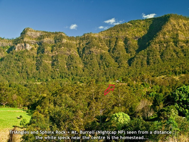 Mt. Burrell Road MOUNT BURRELL, Murwillumbah NSW 2484