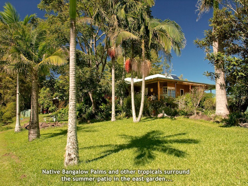 Mt. Burrell Road MOUNT BURRELL, Murwillumbah NSW 2484