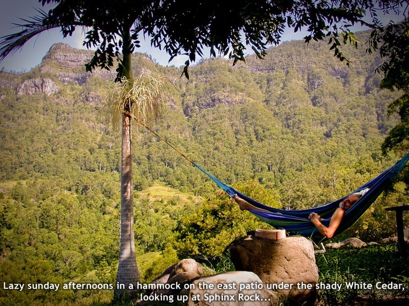 Mt. Burrell Road MOUNT BURRELL, Murwillumbah NSW 2484