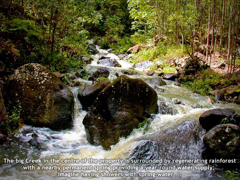 Mt. Burrell Road MOUNT BURRELL, Murwillumbah NSW 2484