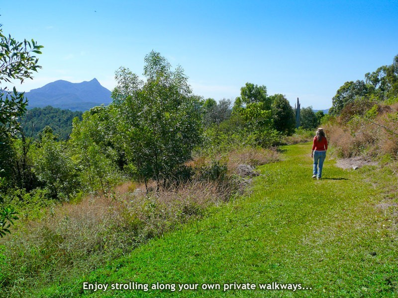 Mt. Burrell Road MOUNT BURRELL, Murwillumbah NSW 2484