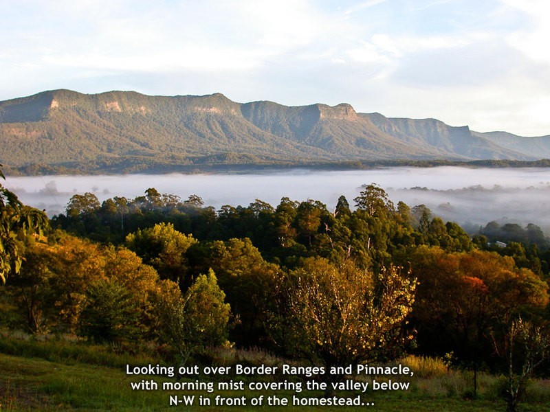 Mt. Burrell Road MOUNT BURRELL, Murwillumbah NSW 2484