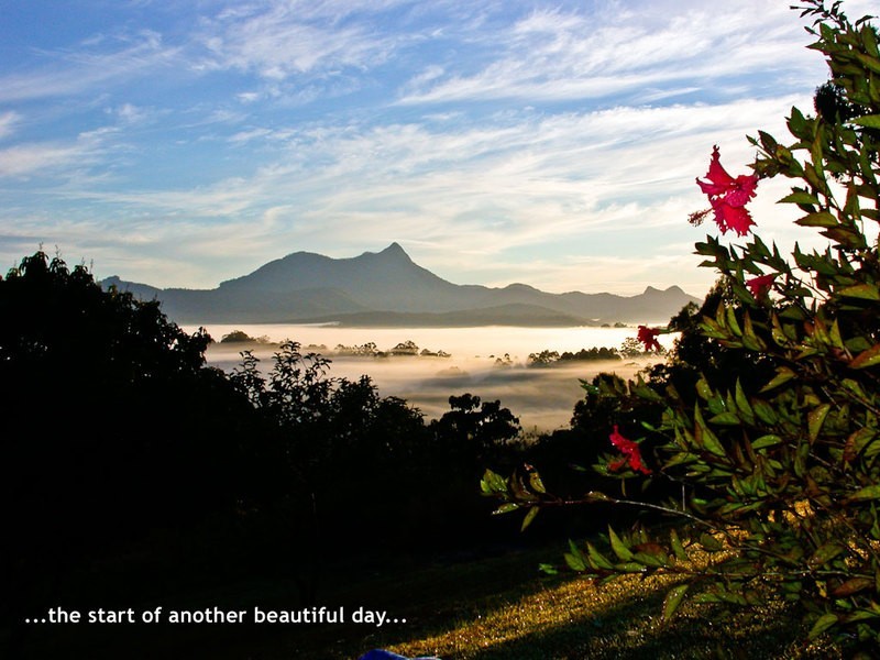 Mt. Burrell Road MOUNT BURRELL, Murwillumbah NSW 2484