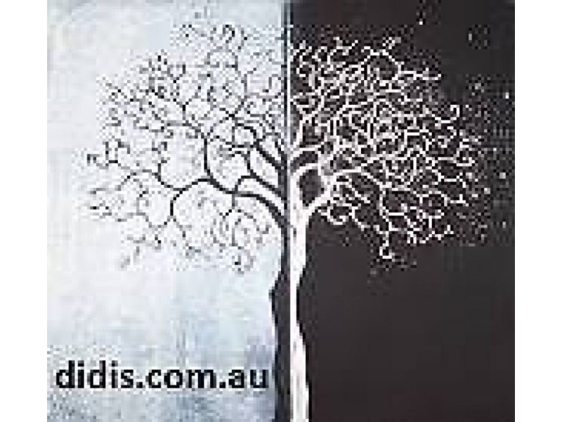 29 South Coast Highway, Denmark WA 6333