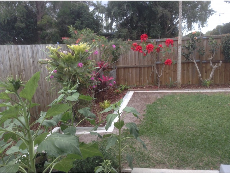 38 Boronia Drive, Bellara QLD 4507