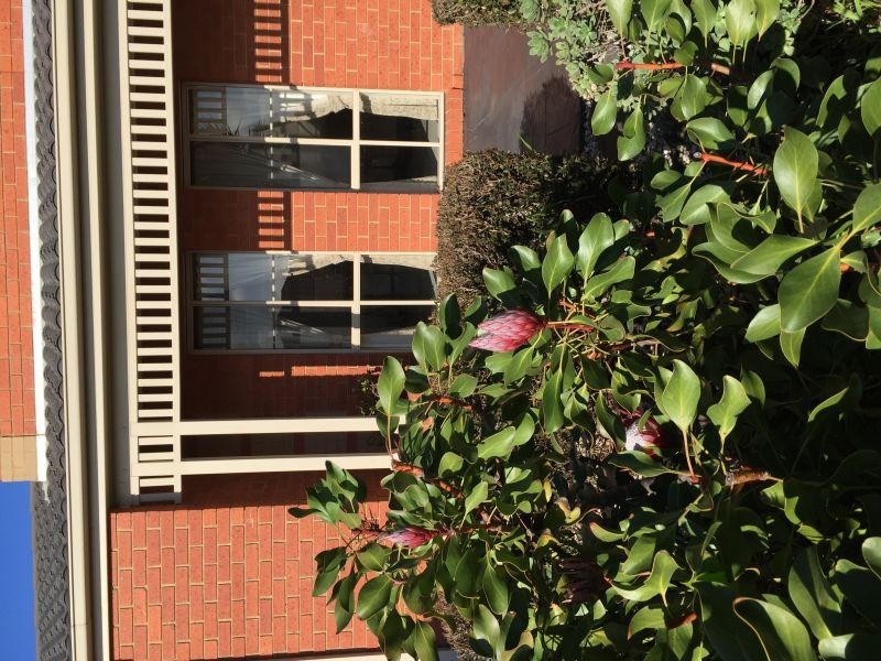 10 Yemaya Place, Berwick VIC 3806