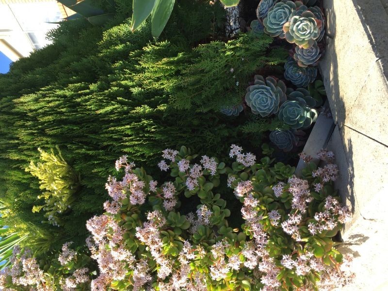 10 Yemaya Place, Berwick VIC 3806