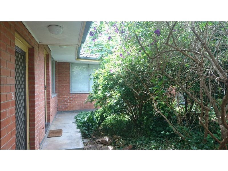 5/27 Bevington Road, Glenunga SA 5064