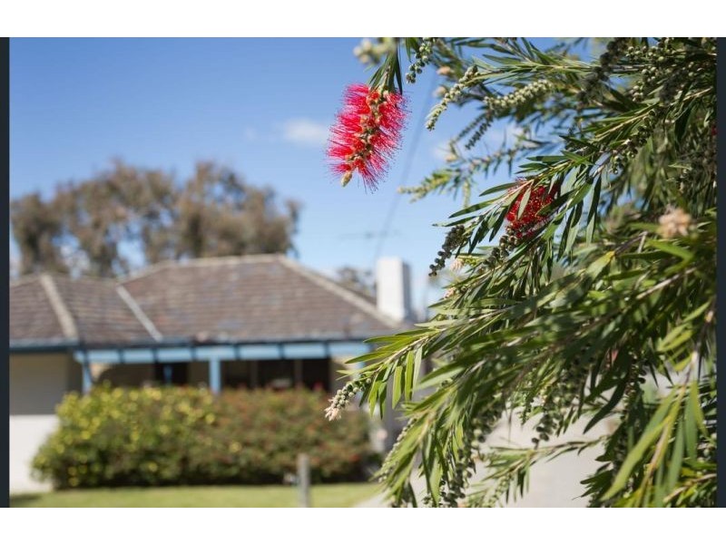 57 Ferdinand Crescent, Coolbellup WA 6163