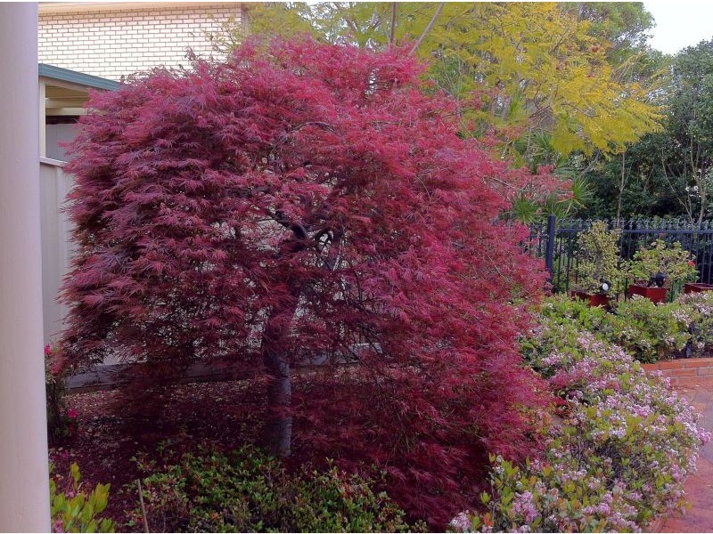 7 Kane Place, Casula NSW 2170