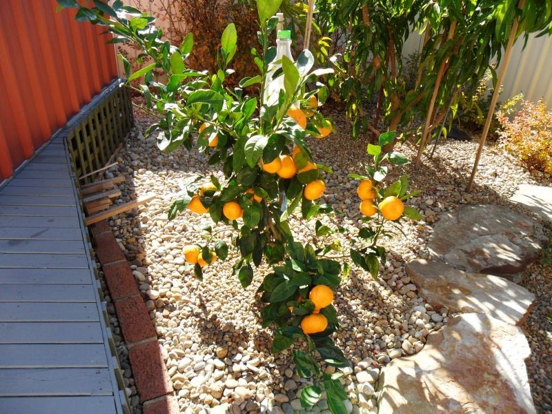 7 Kane Place, Casula NSW 2170