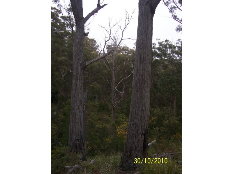 5351 Tasman Hwy, Beaumaris TAS 7215