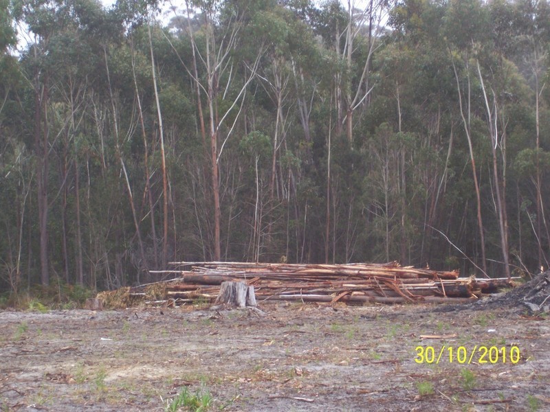 5351 Tasman Hwy, Beaumaris TAS 7215