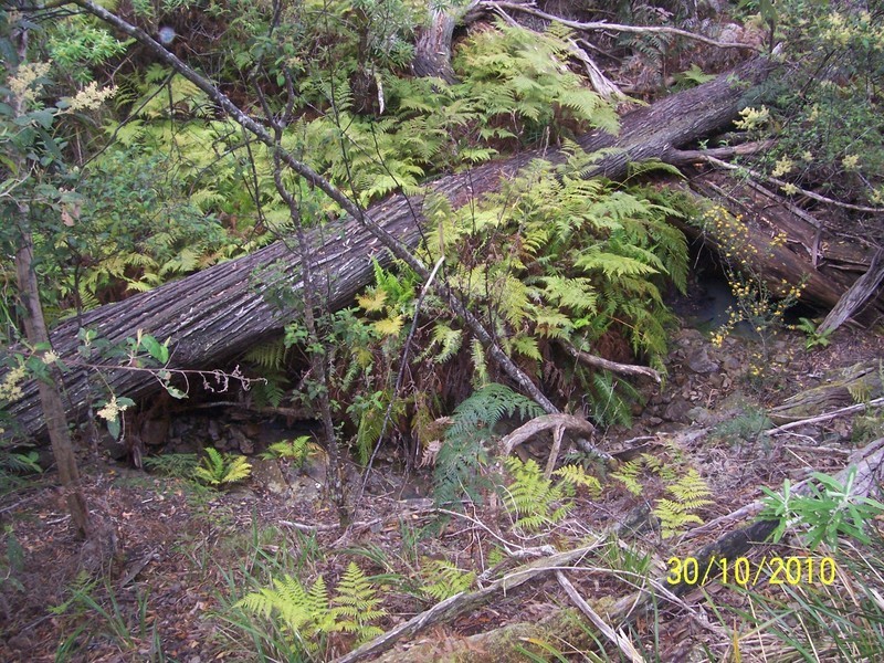 5351 Tasman Hwy, Beaumaris TAS 7215