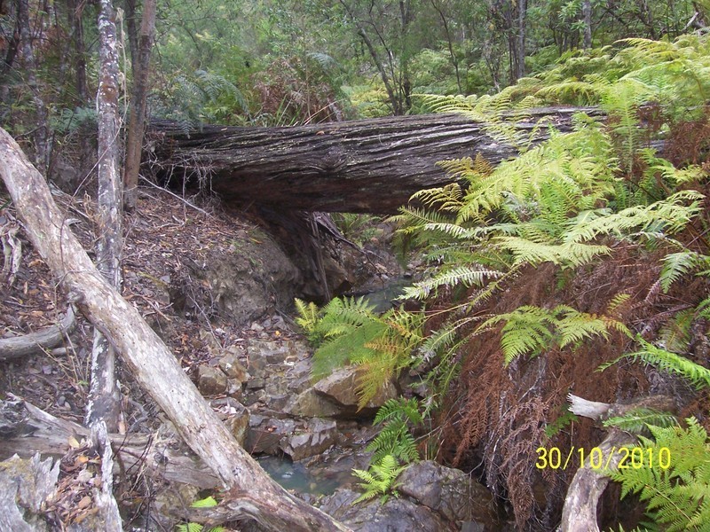 5351 Tasman Hwy, Beaumaris TAS 7215