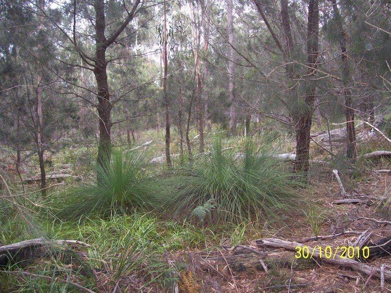 5351 Tasman Hwy, Beaumaris TAS 7215