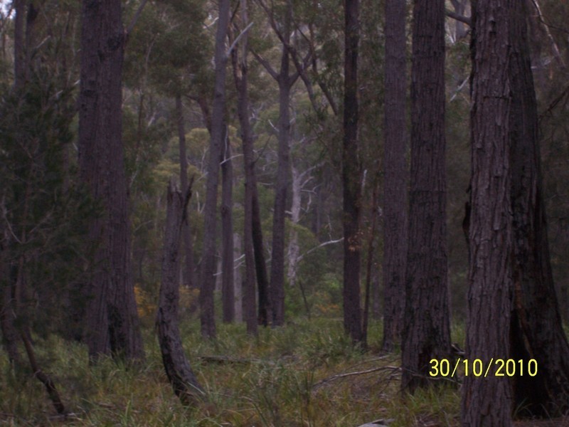 5351 Tasman Hwy, Beaumaris TAS 7215