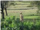 Black Range VIC 3381