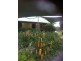 Black Range VIC 3381