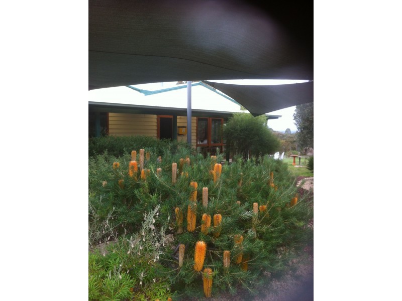 Black Range VIC 3381