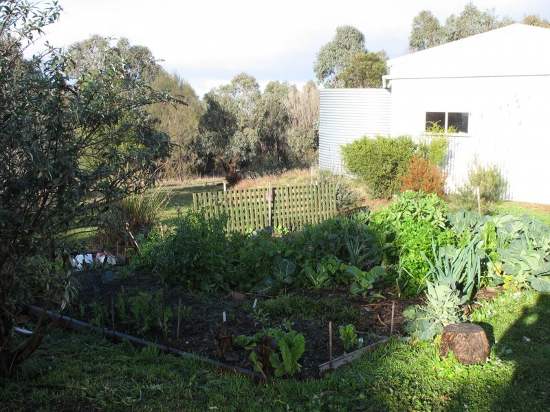 Black Range VIC 3381