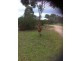 Black Range VIC 3381